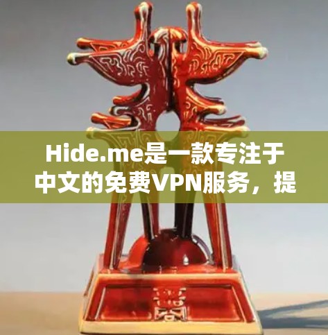 Hide.me是一款专注于中文的免费VPN服务，提供了多种功能和选项，适合个人用户使用。以下是详细的使用指南和功能说明