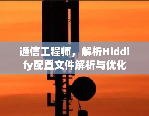 通信工程师，解析Hiddify配置文件解析与优化
