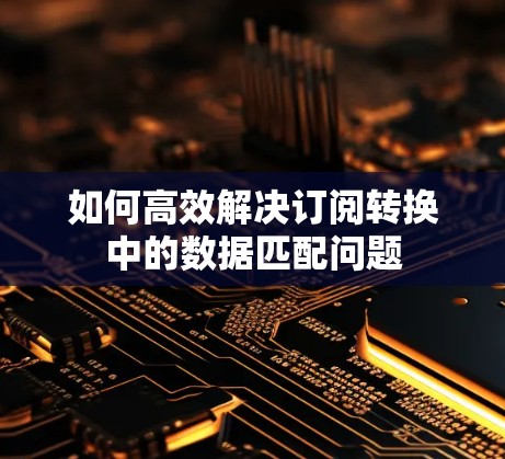 如何高效解决订阅转换中的数据匹配问题