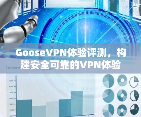 GooseVPN体验评测，构建安全可靠的VPN体验