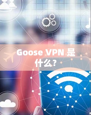 Goose VPN 是什么？