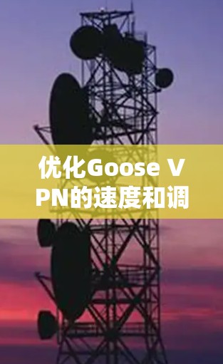 优化Goose VPN的速度和调整线路是提升使用体验的关键步骤。以下是一些详细的方法和步骤