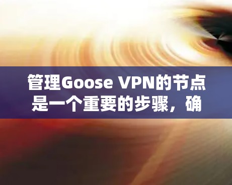管理Goose VPN的节点是一个重要的步骤，确保网络连接的安全性。以下是一个详细的步骤指南