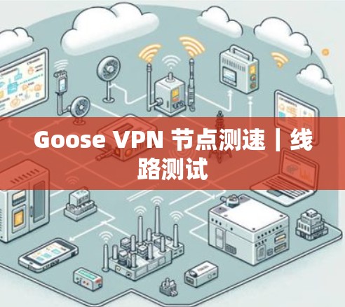 Goose VPN 节点测速｜线路测试