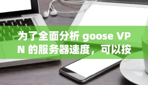 为了全面分析 goose VPN 的服务器速度，可以按照以下步骤进行