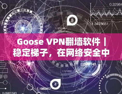 Goose VPN<strong>翻墙</strong>软件｜稳定梯子，在网络安全中守护前行者