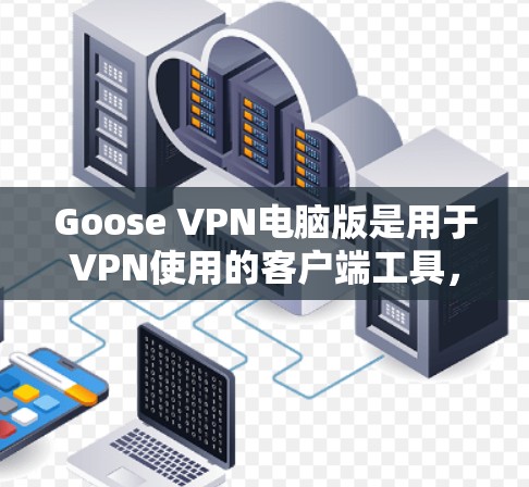 Goose VPN电脑版是用于VPN使用的客户端工具，适合实时视频和实时直播的用户。以下是使用步骤的详细指南