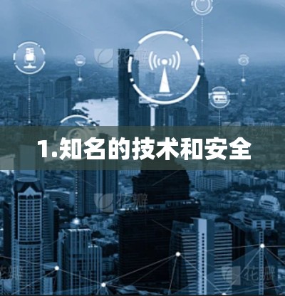 1.知名的技术和安全