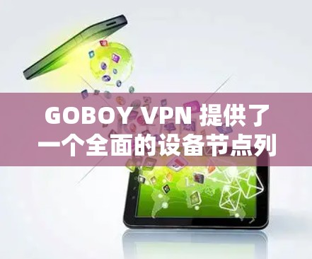 GOBOY VPN 提供了一个全面的设备节点列表，所有节点都附有详细的测试结果，帮助用户确认设备连接是否成功。以下是测试结果的详细介绍
