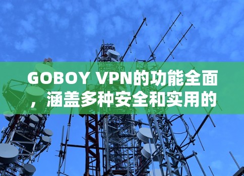 GOBOY VPN的功能全面，涵盖多种安全和实用的方面，适合不同用户需求。以下是其主要功能分析